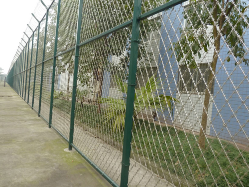 刀片刺网
